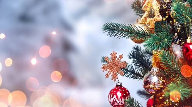 Consigli nutrizionali per Natale